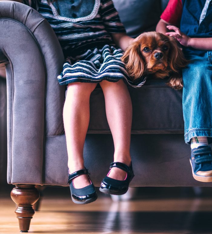 limpeza capa de sofá