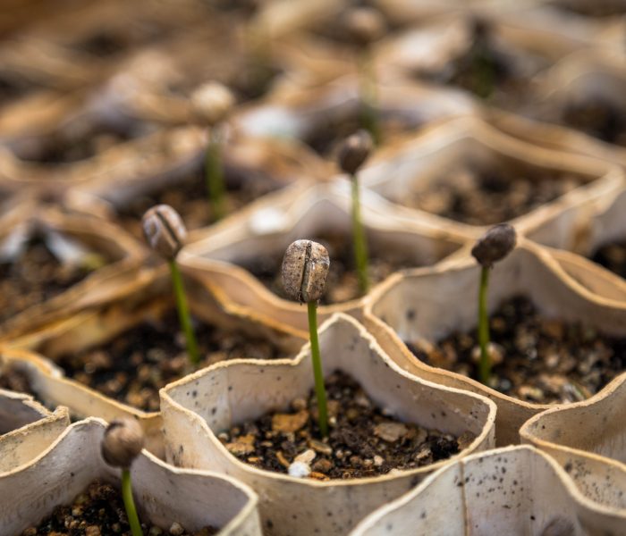 franquia de lavanderia