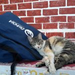 lavanderia Belo Horizonte